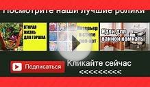 Какую плитку выбрать в ванную | ДОМ ДИЗАЙН ИНТЕРЬЕР